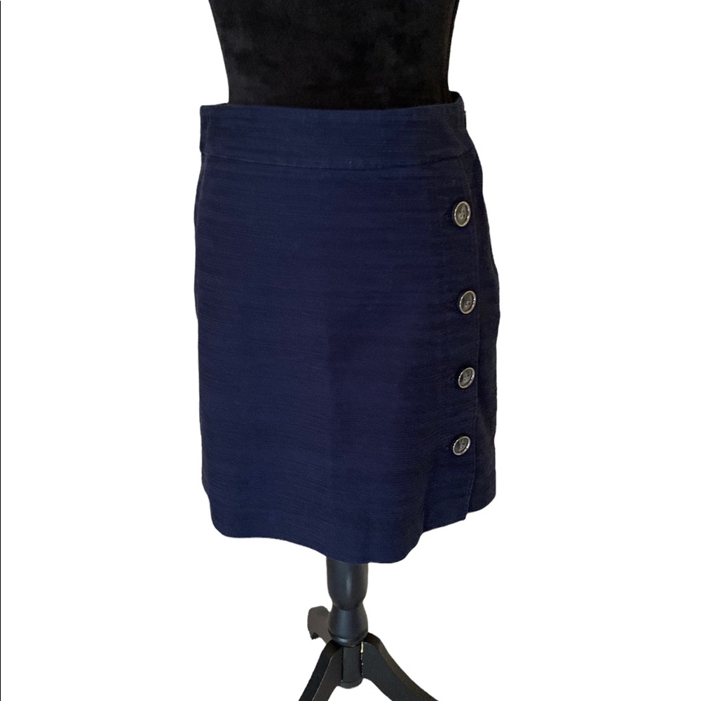 Ann Taylor Factory Petite Navy Skirt